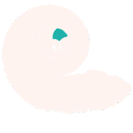 FullDynamic